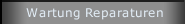 Wartung Reparaturen